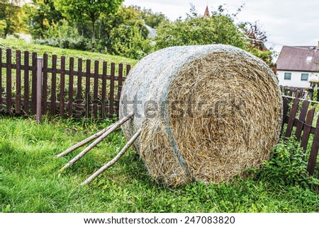 Hay is grass, legumes or other herbaceous plants that have been cut, dried, and stored for use as animal fodder, particularly for grazing livestock such as cattle, horses, goats, and sheep.