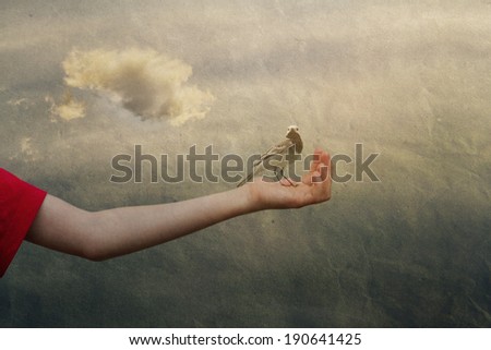 at the hand of a child sitting bird, vintage, background sky with cloud, mood sense of calm security appeasement of peace,  peaceful mood