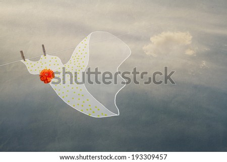 summer dreamy mood, hanging on a rope feminine dress, sky with clouds and wind