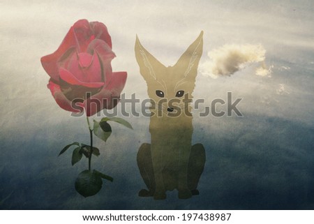 fox and a red rose on a background sky with cloud, about friendship and love