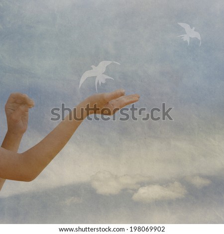 children\'s hands and flying birds on background sky, about peace and freedom