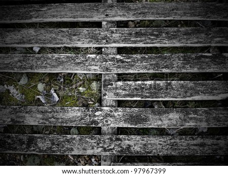 A broken wooden pallet showing plant growth and shingle between slats