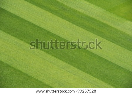 Stripes on mown cricket pitch, green grass diagonally across frame.