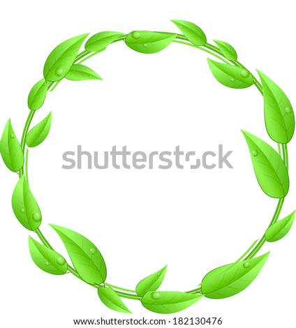 Round,circle made of green leaves with white text space isolated on a white background