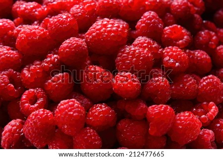 berries delicious red raspberries waiting when they eat