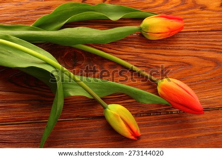 on a wooden board three tulip unblown