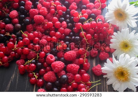 fruits of currant, raspberry and daisy flowers