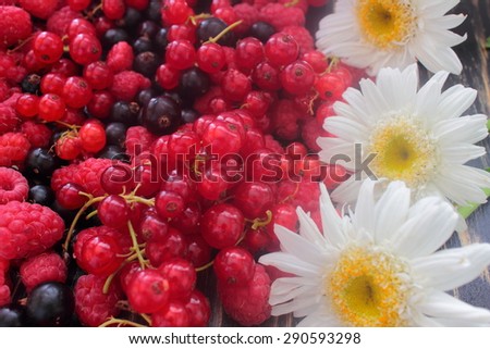 fruits of currant, raspberry and chamomile flowers