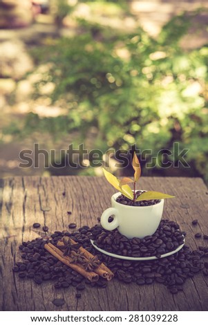 Coffee cup and coffee bean on a wooden table and Coffee plant.vintage color