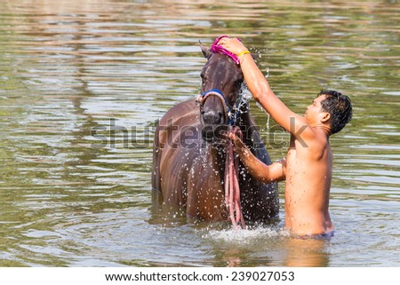 NakhonRatchasima , THAILAND - 19  DECEMBER 2014 bather \'s cleaner, clean the horse races in the pool, on December 19, 2014 in Bangkok , Thailand..