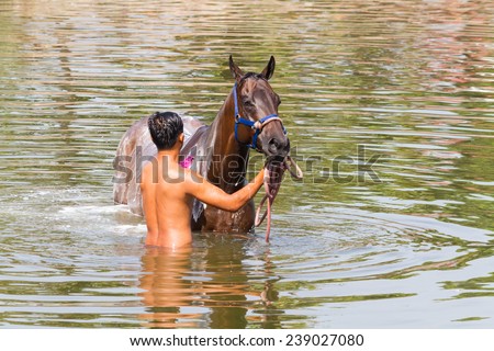 NakhonRatchasima , THAILAND - 19  DECEMBER 2014 bather 's cleaner, clean the horse races in the pool, on December 19, 2014 in Bangkok , Thailand..