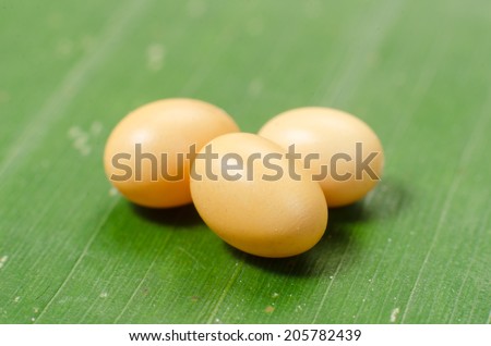Egg of Metallic wood-boring beetle.