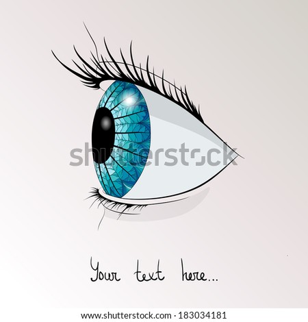 the human blue eye in profile