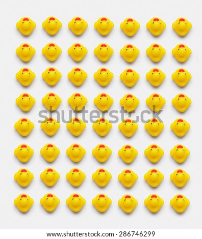 Collection of yellow rubber ducks well organize over white background, above view