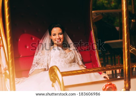 beautiful smiling bride in carriage