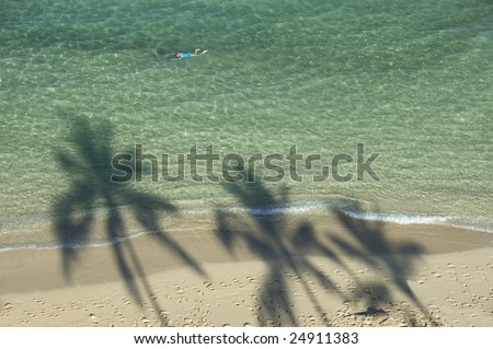 Shadow of three palm trees  at the sandy beach and one swimmer enjoying the clear water.