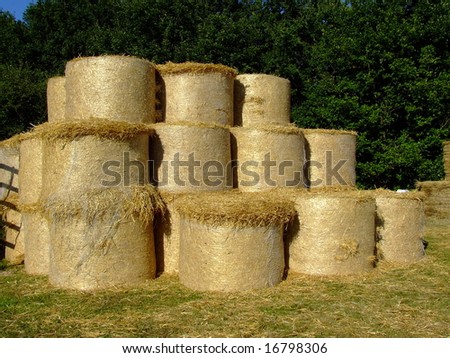 Straw Bundles