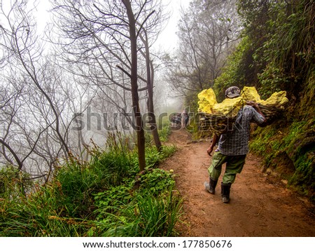 KAWAH IJEN VOLCANO, EAST JAVA, INDONESIA - MAY 25, 2013: A sulfur miner carrying baskets loaded with solid sulfur at Kawah Ijen volcano in East Java, Indonesia.