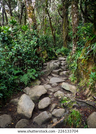 Rocky, winding trail to the top of Mount Kinabalu, Sabah, East Malaysia.