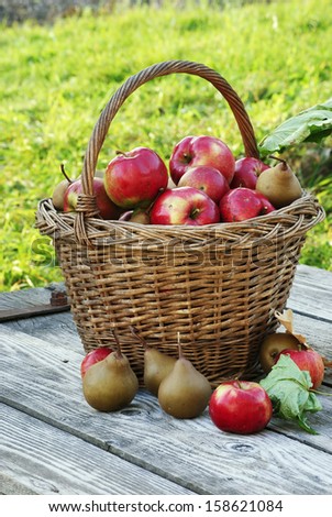 a basket full of apples and pears