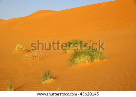 Libyan desert