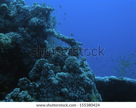 Underwater scene in the Red Sea near Dahab in Egypt.