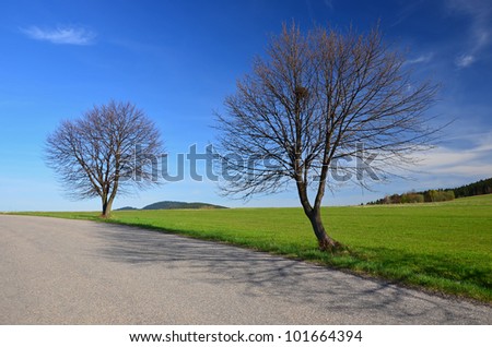 Trees along rural road in countryside of Beskid Niski, Poland