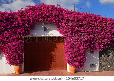 Gate to Spanish villa covered with flowers, Costa Adeje, Tenerife, Canary Islands, Spain