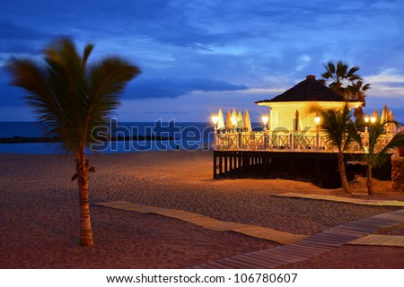 Restaurant on the beach with palm tree and wind blowing at night time, Tenerife, Canary islands, Spain
