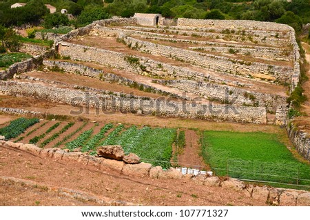 Small farming fields, Menorca, Balearic Islands, Spain