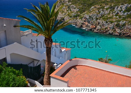 View of Cala Porter bay with palm tree as main focal point, Menorca, Balearic Islands, Spain
