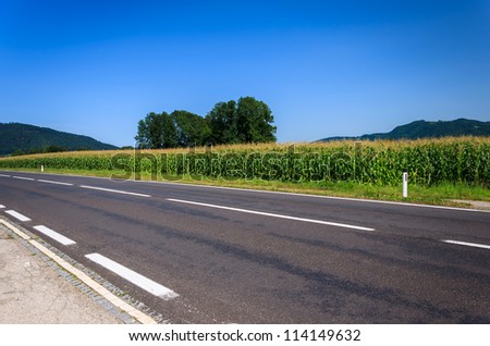 Road along corn field on sunny summer day, Austria