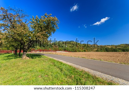 Apple trees along road in rural landscape near Krakow in autumn season, Poland