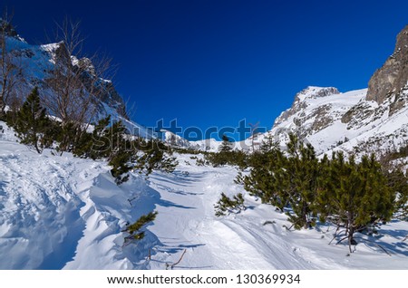 Winter trail mountain valley snow, Starolesna valley, High Tatra Mountains, Slovakia