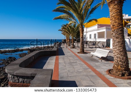 Seaside promenade palm tree houses, La Calera, La Gomera island
