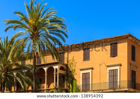 Palm tree traditional yellow house brown shutters, Palma de Mallorca, Spain