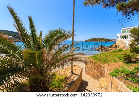 Palm tree steps beach sea holiday villa, Sant Elm, Majorca island, Spain