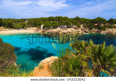 Beach bay azure turquoise sea water hill pine tree, Cala Gat, Majorca island, Spain