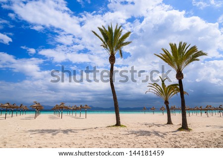 Palm tree sand beach sun shade umbrella sea view white clouds blue sky, Alcudia, Majorca island, Spain
