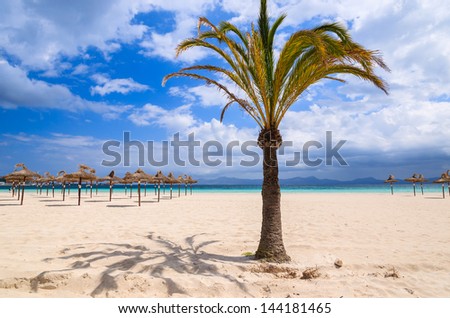 Palm tree sand beach sun shade umbrella sea view white clouds blue sky, Alcudia, Majorca island, Spain