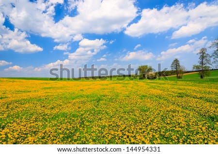Yellow flowers field rural landscape white clouds blue sky, Hamerlberg, Burgenland, Austria