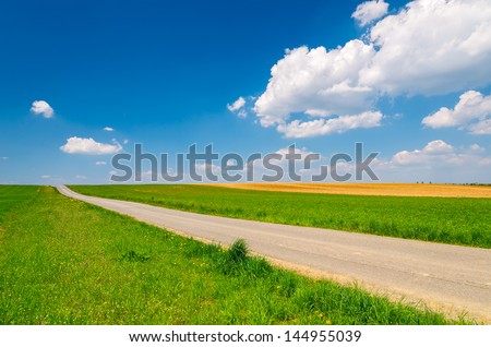 Rural landscape country road yellow flowers field white clouds blue sky, Hamerlberg, Burgenland, Austria