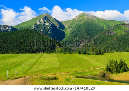 Mountain valley green meadow clouds, Tatra Mountains (Bielskie), Zdiar, Slovakia