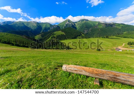 Mountain valley green meadow clouds tree log, Tatra Mountains (Bielskie), Zdiar, Slovakia