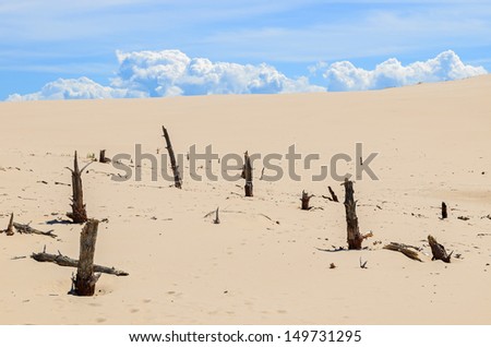 Dry tree trunks sand dune white clouds blue sky, Slowinski National Park near Leba, Baltic Sea, Poland