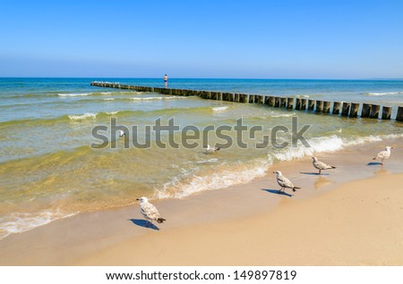 Sand beach wave breakers seagulls birds sea view horizon blue sky, Ustka, Baltic Sea, Poland
