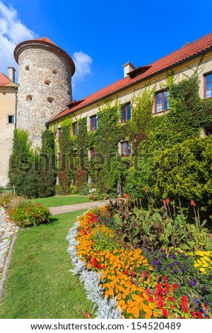 Pieskowa Castle courtyard flowers vine growing on facade, Poland