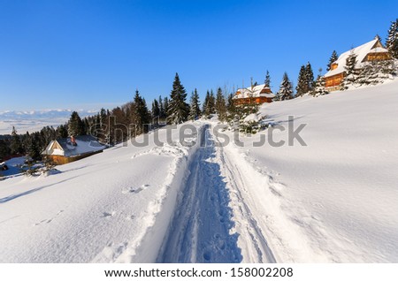 Winter path snow covered trees landscape wooden house hut, Beskidy Mountains, Turbacz, Poland