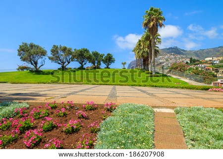 Flowers and palm trees in public tropical park in centre of Camara de Lobos town, Madeira island, Portugal
