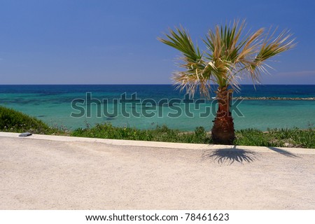 Beach promenade in Paphos on Cyprus island